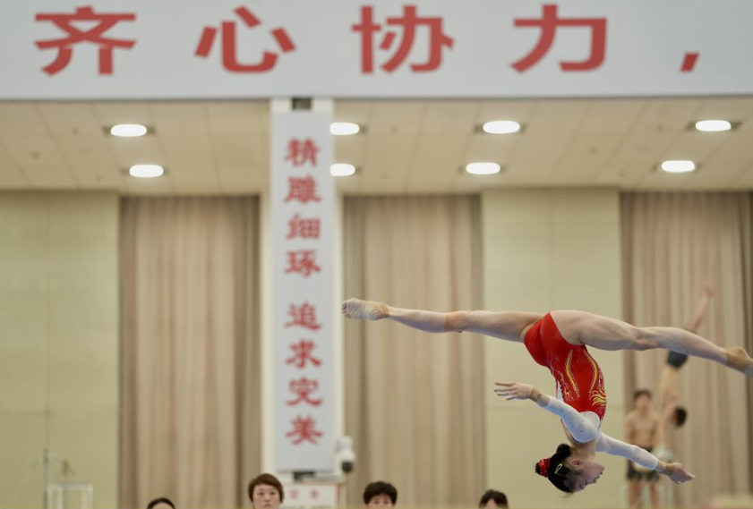 开云体育官网入口全新体验与导航